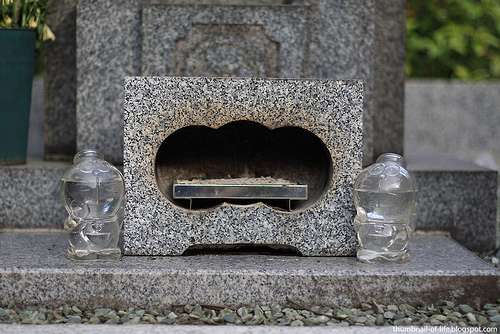 4802000808_0d5fd19216_b