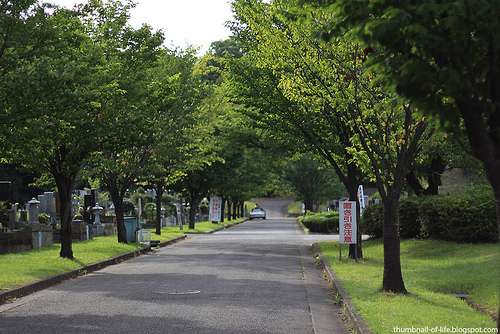 4802000518_81f3b0c275_b