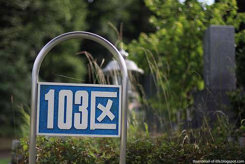 4802000604_220b65c750_b