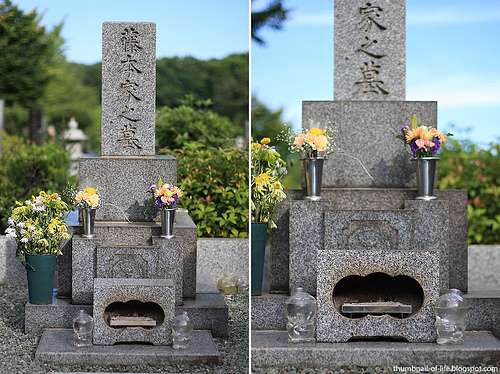 4802000964_827cb6dc02_b