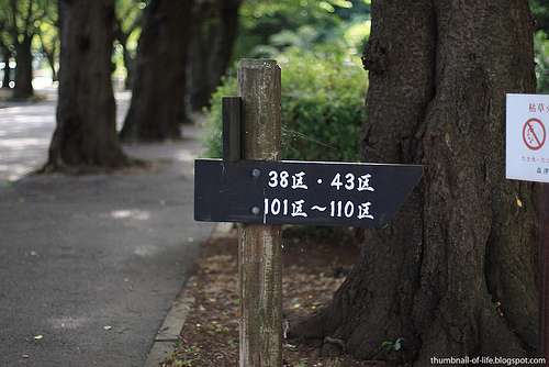 4801368595_2e556ca066_b