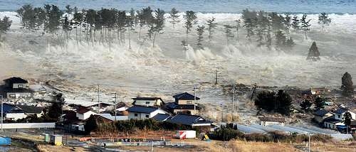 48wdp3kjyi8r3o9go8vglrw0l