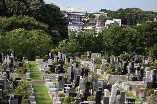 4801368687_70b413c8da_b