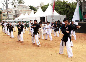 Okinawa Kobudo Jinbukai/Jyureikan do Brasil