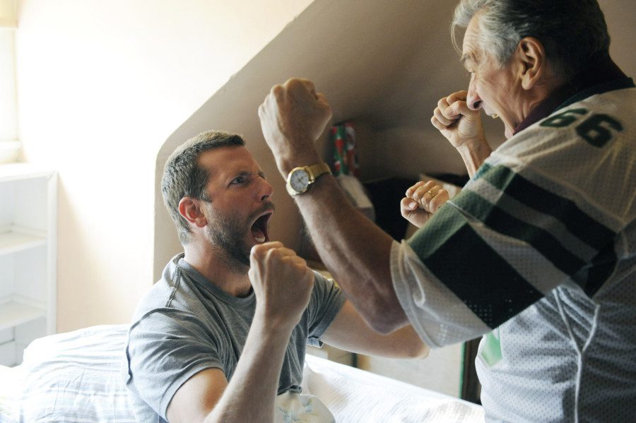 THE SILVER LININGS PLAYBOOK