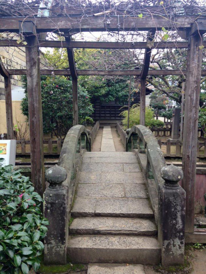 12342764_1011035348958088_5031154124704930092_n