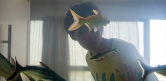 Dormir de Olhos Abertos | Novo filme de Nele Wohlatz tem trailer e pôster revelados pela Sessão Vitrine Petrobras