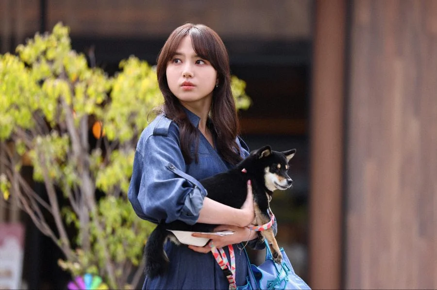 O Amor é Para os Cães