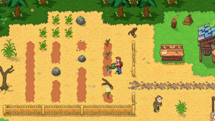 Pinecone Grove 3